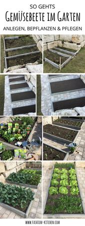 Gemüsebeete im Garten anlegen, bepflanzen & pflegen, Gemüse im eigenen Garten ...