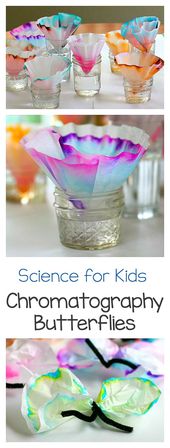 Science for Kids: Chromatography Butterfly Craft Science for Kids: Chromatography Butterfly Craft 2