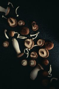 Fotografía estilo Dark Food de setas y champiñones. Foto gastronómica de Cristina Navarro.
