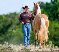 Training Tip: Get Your Horse Backing Well