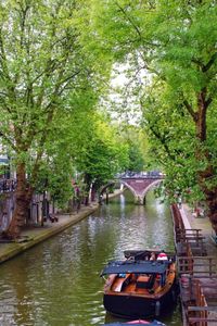 A weekend in Utrecht Netherlands - Skylar Aria’s Adventures