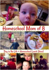 Homeschool Lunch Ideas | Homeschool Mom Day in the Life (8 Kids)