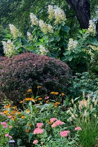 67 Ways to Up Your Plant Parenting Game. Learn about houseplants, cottage gardens, flower beds, plant basics and especially, easy-care plants, flowers, shrubs and trees. Garden tips include everblooming colorful gardens, cottage garden style, houseplants, plant styling and more.