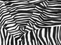 Zebra in Black from Brett Design #black #white #zebra #pattern #wallcoverings #fabric #interiordesign #designinspiration #thetextilefiles #clothandkindinteriordesign #brettdesign