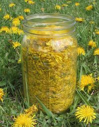 Don't waste the weed. Learn how to make dandelion wine with these 2 easy-to-follow recipes.