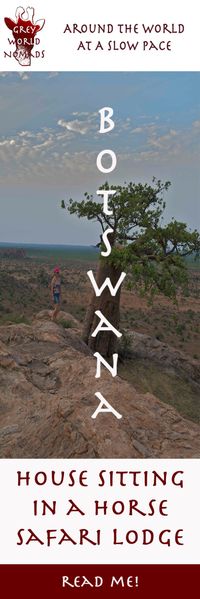 House Sitting a Safari Lodge in Botswana | Grey World Nomads