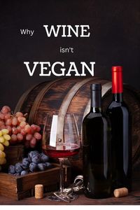 What in wine is not vegan | Why wine isn't vegan | What wine is vegan friendly | Is wine vegan? | Is wine vegetarian
