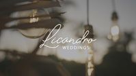 Beach #bohowedding full of sunshine and palmtrees #weddingvideo #weddingvideography #bohoweddingdress #bohoweddinghair #bohoweddingideas #bohoweddingdecor