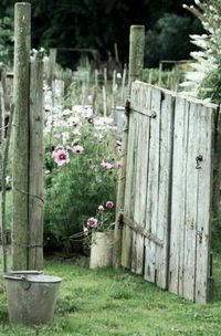 Cottage Garden