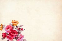 Flower, Background, Floral, Border