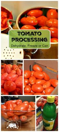 Tomato processing is arguably one of the more common tasks that we do to prepare for storage. You can't beat the taste and texture of a fresh tomato.