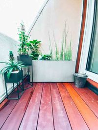 Transformation et aménagement de cette terrasse parisienne cosy et chaleureuse. En bois exotique, teck. Ce balcon, terrasse d'angle ouverte sur l'extérieur. Balcon de ce petit appartement / studio en région parisienne. Végétation, lanterne, bac de fleur, pot. Décoration, 2019, 2020, paris, Leroy Merlin, casa, construction, inspiration, bois, architecte, 30m2, 6m2, rénovation, coup de coeur, fonctionnelle, optimisé, blog, plantes, guirlande guinguette, baie vitrée, table chaise jardin, potager