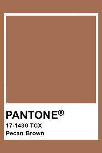 PANTONE 17-1430 TCX Pecan Brown