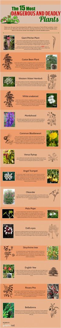 Deadly Plants 2