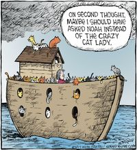 Noah Comic Strips - Page 3 - GoComics