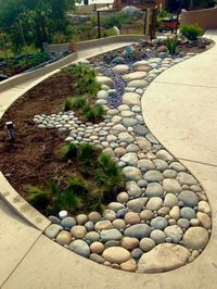 Mix of hardscape and plantings