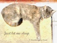 What Do You Think About When You Can't Sleep? - Dorothy Berry-Lound Blog