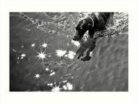 Black and White Street Photography Art Print for Sale | #ArtPrint for Sale | #bwstreet #bwstreetphoto #streetphoto #luciaeggenhoffer #bwphotography #blackandwhitephoto