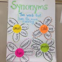 Synonyms
