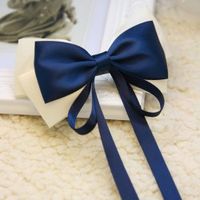 Fashionable Ribbon Design Bowknot Shape Hairpin For Women