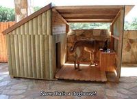 Dream Doghouse