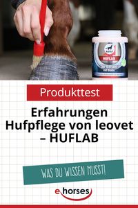 Hufpflege von leovet! #produkttest #leovet #hufpflege #huflab #pferdewissen #pferdeinfos #produkte #testen #erfahrungen #bewertung