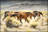 Horses Fine Art Print, Wild Horses Photography, Horses in Snow Print, Mustang Horses Photography, Wild Horses Art, Equestrian Photography