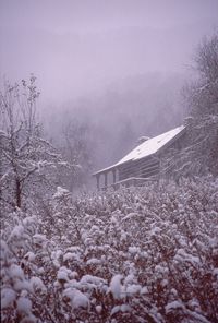 A cozy cabin in Winter