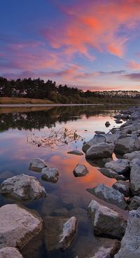 Manawatu River, Palmerston North,New Zealand