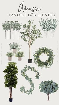Freshen up your space with these amazing greenery pieces from Amazon! Take your home decor to the next level with these amazing deals. If you catch the sale, some of these are $12!!