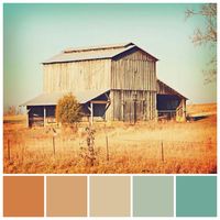 Photograph of a barn with vintage filter features an appealing colour palette of subtly contrasting secondary colours. Colour palette illustration by Zena O’Connor, PhD.
