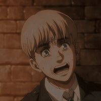 FOLLOW 𝑷𝒂𝒏𝒅𝒂𝑳𝒊𝒎 FOR MORE ARMIN ARLERT ICON