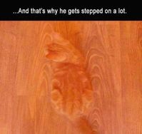 That's a hazard. They need to change their flooring hahah 😂