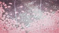 Aesthetic Rain GIF - Aesthetic Rain CherryBlossoms - Descubre & Comparte GIFs