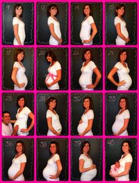 Weekly pregnancy progression