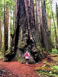 Things to do in a small town in the United States of America. #aesthetic #forest