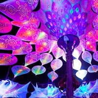 Psy Festival