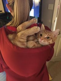 catasters: “See You Later!!” • diurnalem
