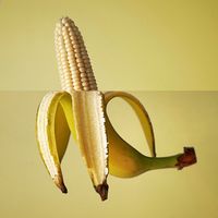 creative still life collage - Google Search