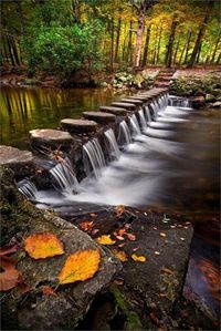 Tollymore Forest, Northern Ireland