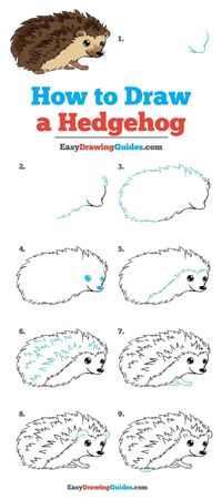 10 Cartoon Animal How To Drawings - Brighter Craft
