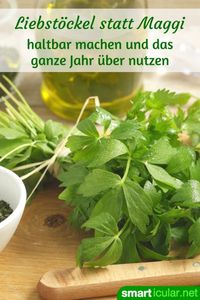 Liebstöckel-Würzpaste und -Würfel für Essen wie bei Oma