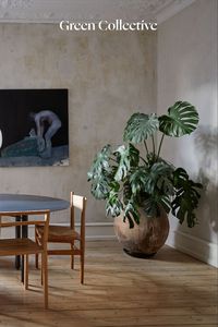 Green Collective is a premiere online platform featuring sustainable furniture and home accessories. We unite local, independent designers and connect them to conscious consumers. We strive to inspire and encourage customers, designers, our partners and the industry to act socially, economically and environmentally responsible.