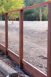Deer fence - Great practical fencing for the garden & chicken coop area. Tall enough for the chickens not to jump over. Have to find a fence door just as high to go with it.: