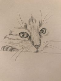 Pin by MJ on Art projects | Cat drawing tutorial, Cats art drawing, Art drawings sketches simple