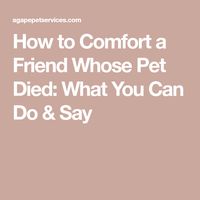 How to Comfort a Friend Whose Pet Died: What You Can Do & Say