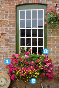 14 Simply Stunning Summer Window Boxes | HGTV
