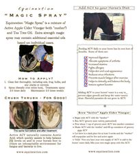 Magik SPRAY (DIY) - Shoppe EQ