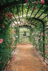 I can so see this over my walkway