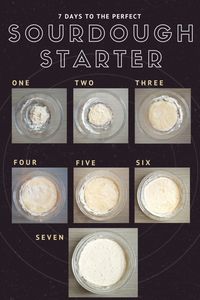 Sourdough Starter Tutorial. It only takes 7 days to make a healthy sourdough starter full of health boosting probiotics!